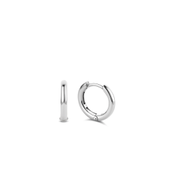 Ti Sento  Earring 7812SI thumbnail 1
