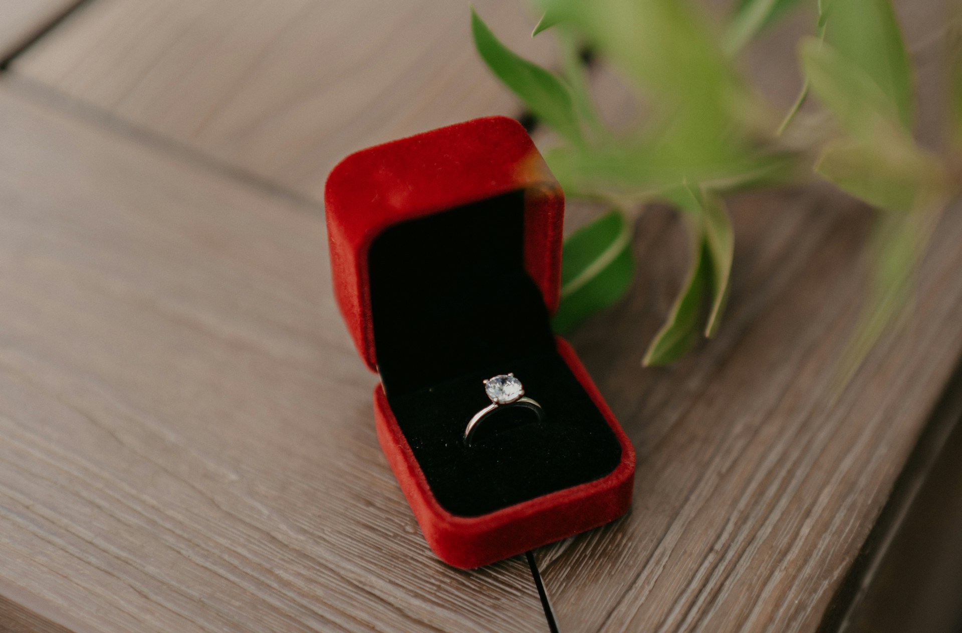 A classic solitaire diamond engagement ring in a red velvet box placed on a wooden surface with green leaves nearby.