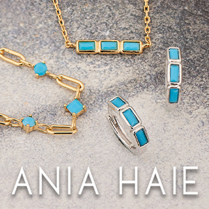 Ania Haie banner